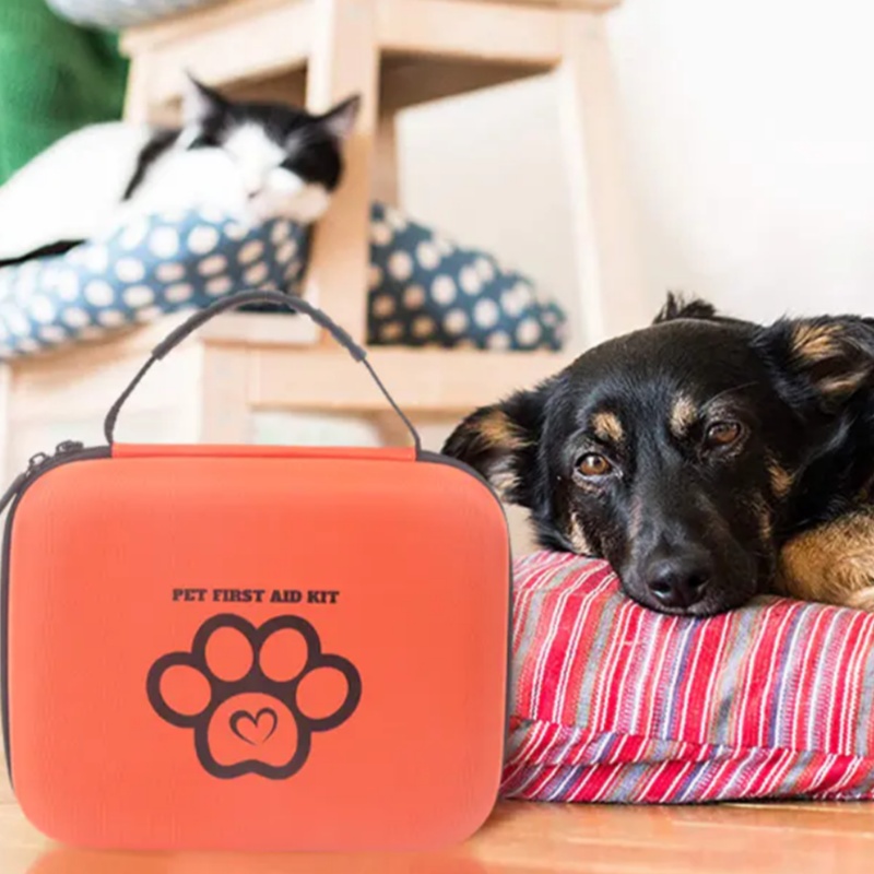 Kit de primeros auxilios para mascotas para gatos contra perros: lo que necesitas saber