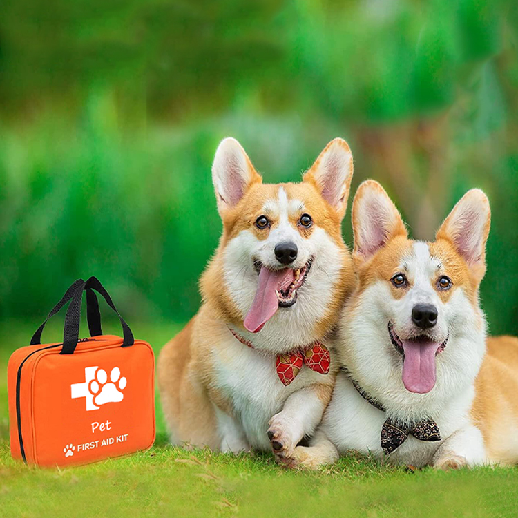 Bolsa portátil para botiquín de primeros auxilios para el cuidado de mascotas, medicina de emergencia ecuestre, para mascotas, perros y gatos, caballos, mascotas con cola, emergencias de viaje